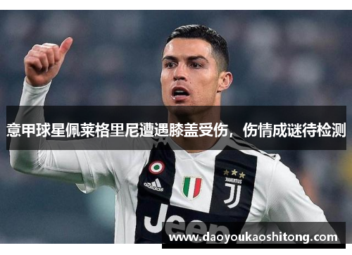 意甲球星佩莱格里尼遭遇膝盖受伤，伤情成谜待检测